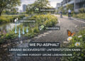 WIE PU-ASPHALT URBANE BIODIVERSITÄT UNTERSTÜTZEN KANN